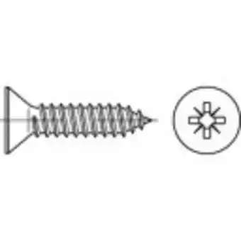 Conrad Toolcraft 147719 verzonken plaatschroeven 3.9 mm 60 mm kruiskop pozidriv iso 7050 staal galvanisch verzinkt 250 stuk(s) aanbieding