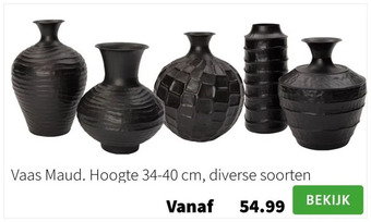 Intratuin Vaas maud. hoogte 34-40 cm, diverse soorten aanbieding