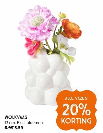 Xenos WOLKVAAS aanbieding