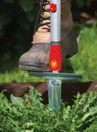 Welkoop Wolf-garten multi-star onkruidsteker ks-m - systeemgereedschap - rood aanbieding