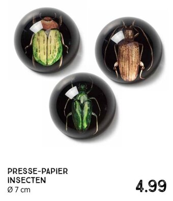 Xenos PRESSE-PAPIER INSECTEN 07 cm aanbieding