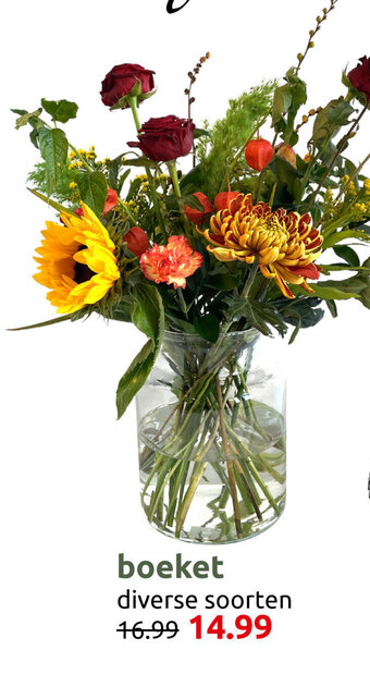 Deka Tuin boeket aanbieding