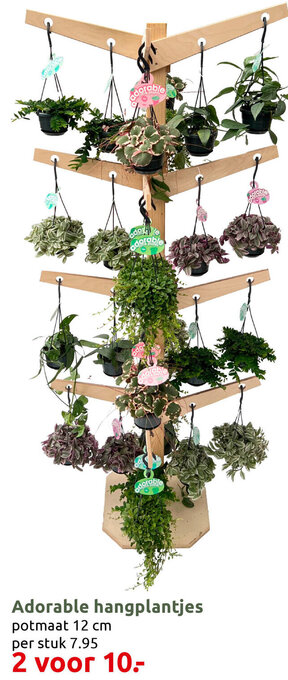 Deka Tuin Adorable hangplantjes aanbieding