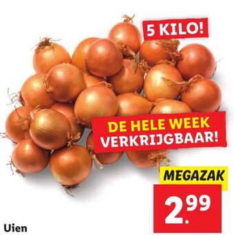 Lidl Uien  5 KILO aanbieding