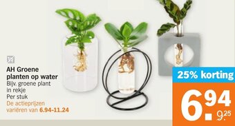 Albert Heijn AH Groene planten op water aanbieding