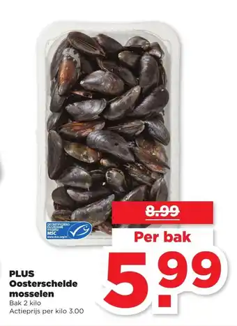 PLUS Oosterschelde Mosselen 1 kilo aanbieding