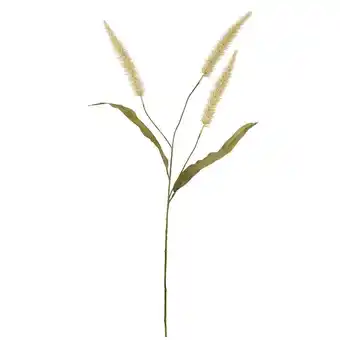 Leen Bakker Kunstbloem pennisetum spray 3 stuks - crème - 33 cm - leen bakker aanbieding