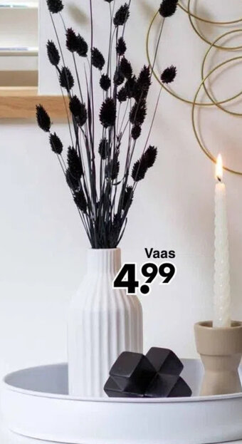 Wibra Vaas aanbieding