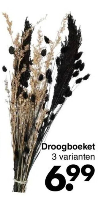 Wibra Droogboeket 3 varianten aanbieding