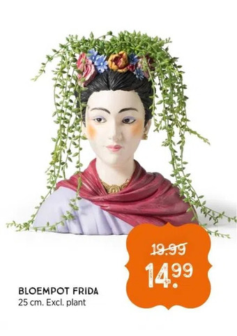 Xenos Bloempot frida 25 cm. excl. plant aanbieding
