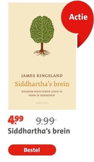 Bruna Siddhartha's brein aanbieding