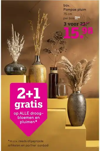 Leen Bakker Pampas pluim 3st aanbieding