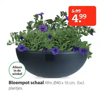 Boerenbond Bloempot schaal aanbieding