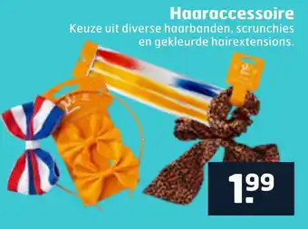 Trekpleister Haaraccessoire aanbieding