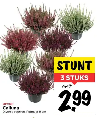 Vomar Voordeelmarkt Calluna 3st aanbieding