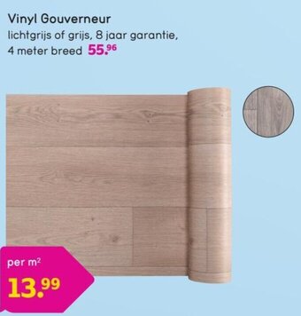 Leen Bakker Vinyl Gouverneur aanbieding