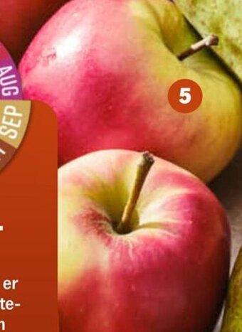 Albert Heijn AH Elstar-appels, los per kilo aanbieding