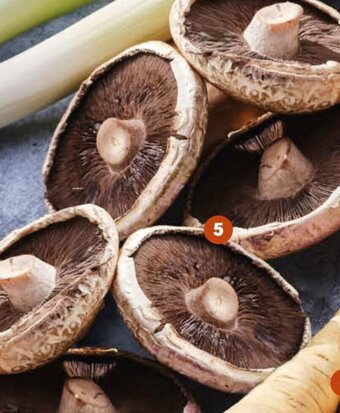 Albert Heijn AH Biologisch Portobello, schaal 2 stuks aanbieding