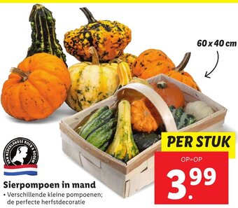 Lidl Sierpompoen in mand aanbieding