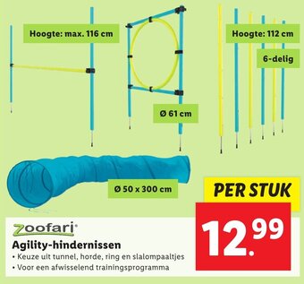 Lidl Zoofari Agility-hindernissen aanbieding