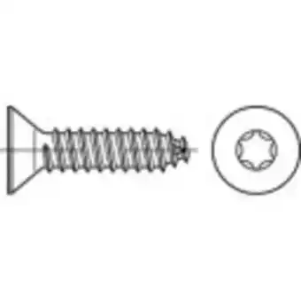 Conrad Toolcraft 145370 verzonken plaatschroeven 5.5 mm 60 mm t-profiel din 7982 staal galvanisch verzinkt 250 stuk(s) aanbieding