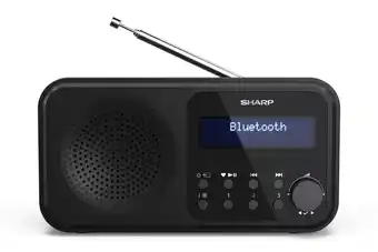 Expert Sharp dr-p420 dab radio zwart aanbieding