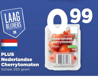 PLUS Nederlandse cherrytomaten aanbieding