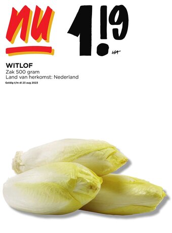 Jumbo WITLOF 500 g aanbieding