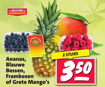 Nettorama Ananas, Blauwe, Bessen, Frambozen of Grote Mango's 2 stuks aanbieding