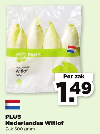 Hoogvliet PLUS Nederlandse Witlof  500g aanbieding