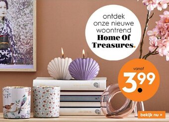 Blokker Home Of Treasures. aanbieding