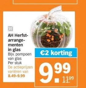 Albert Heijn Ah herfstarrangementen in glas bijv. pompoen van glas per stuk de actieprijzen variëren van 8.49-9.99 aanbieding