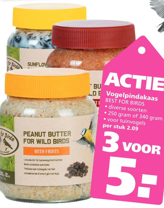 Ranzijn Vogelpindakaas best for birds aanbieding