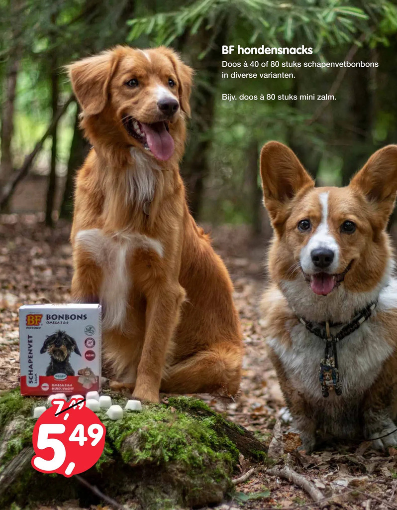 Jumper Bf hondensnacks aanbieding