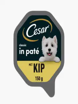 Flink Cesar classic met kip 150g aanbieding