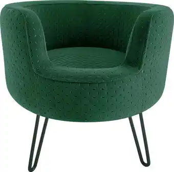 Intratuin Intratuin hondenmand ella groen d 49 h 44 cm aanbieding