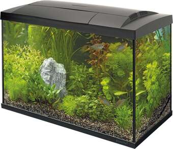 Intratuin Superfish aquarium start 70 tropical kit zwart 60 l aanbieding
