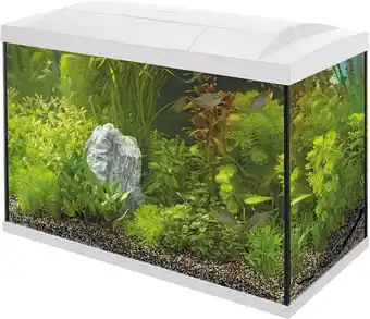 Intratuin Superfish aquarium start 70 tropical kit wit 60 l aanbieding