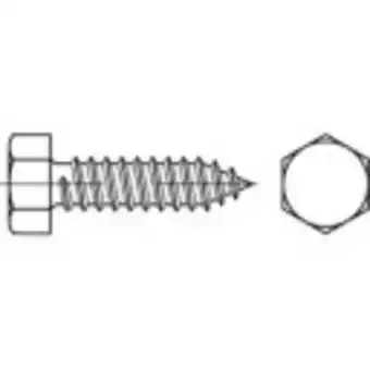 Conrad Toolcraft 144535 zeskant plaatschroeven 3.9 mm 6 mm buitenzeskant din 7976 staal galvanisch verzinkt 1000 stuk(s) aanbieding