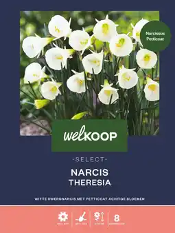Welkoop Welkoop select narcis white petticoat - bloembollen - 6 stuks aanbieding