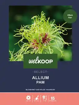 Welkoop Welkoop select allium hair - bloembollen - 15 stuks aanbieding