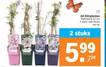 Albert Heijn AH Klimplanten 12 cm aanbieding