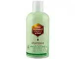 De Online Drogist Bee honest shampoo aloë vera & honing 250ml aanbieding