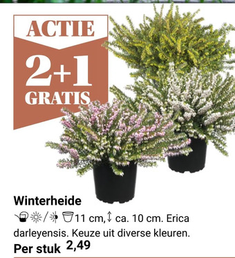 Tuincentrum Osdorp Winterheide aanbieding
