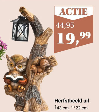 Tuincentrum Osdorp Herfstbeeld uil aanbieding