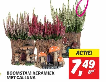 Dekamarkt BOOMSTAM KERAMIEK MET CALLUNA aanbieding