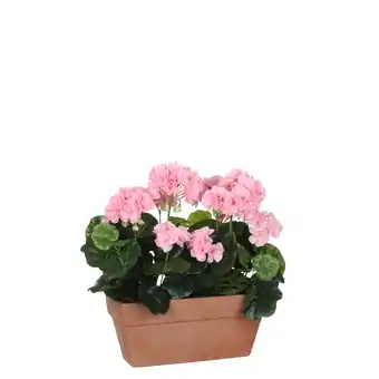 fonQ Mica decorations geranium kunstplant in balkonbak roze aanbieding