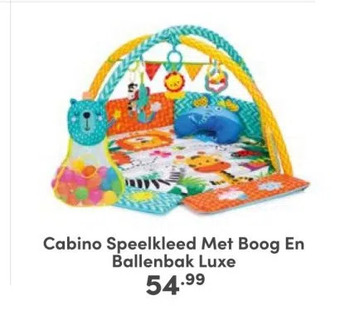 Baby & Tiener Cabino speelkleed met boog en ballenbak luxe aanbieding