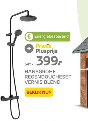 Praxis Hansgrohe regendoucheset vernis blend aanbieding