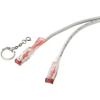 Conrad Renkforce rf-4533112 rj45 netwerkkabel, patchkabel cat 6a s/ftp 3.00 m grijs afsluitbaar 1 stuk(s) aanbieding